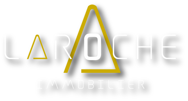 Laroche Immobilier